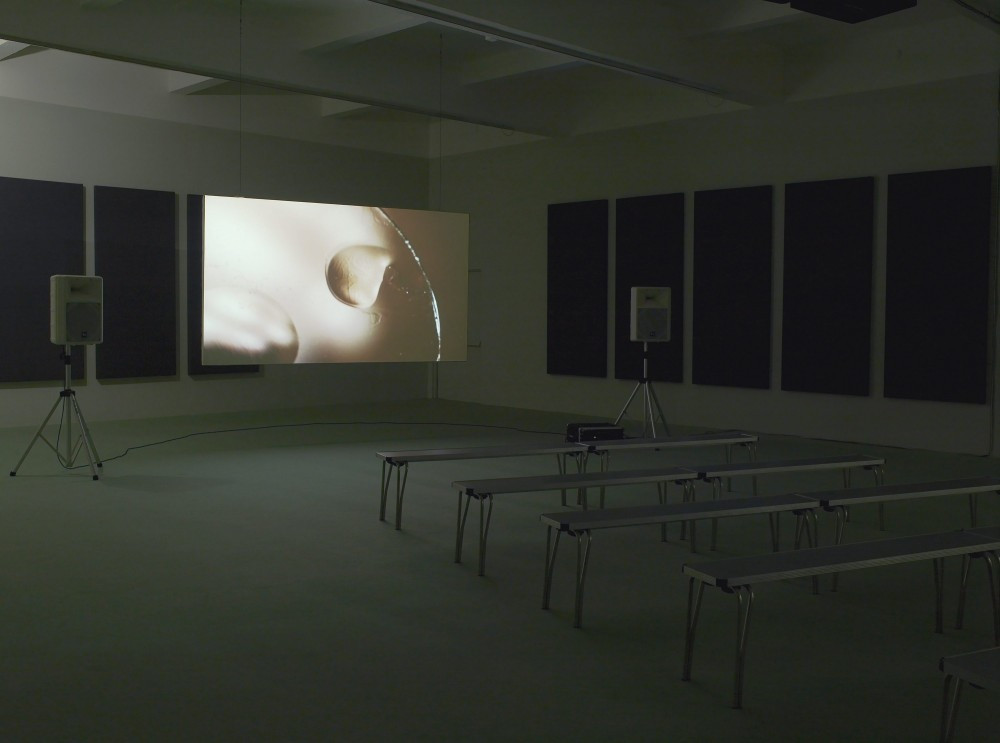 James Richards. Not Blacking Out, Just Turning the Lights Off. 2011