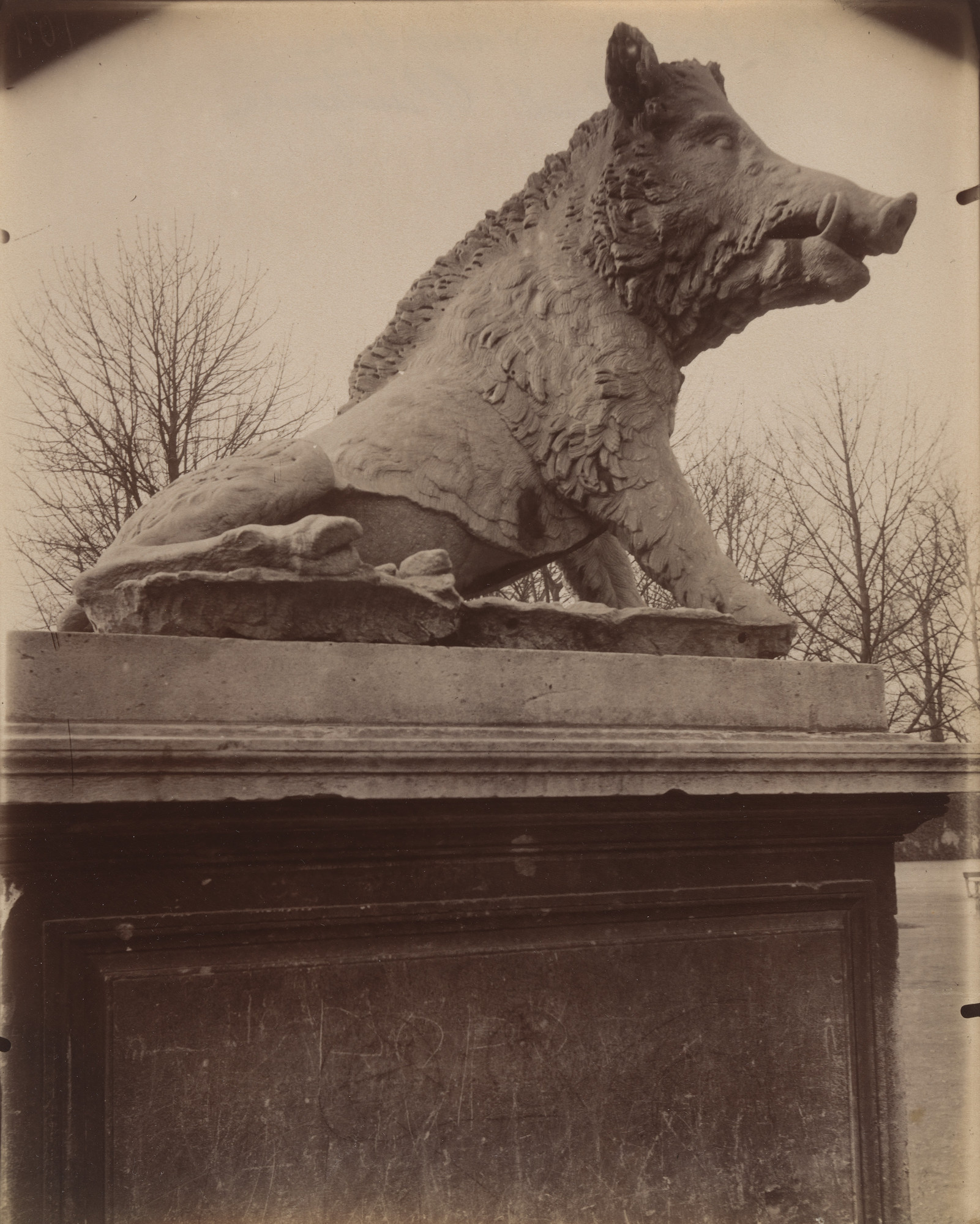 Eugène Atget. Tuileries Sanglier / d'apres l'antique