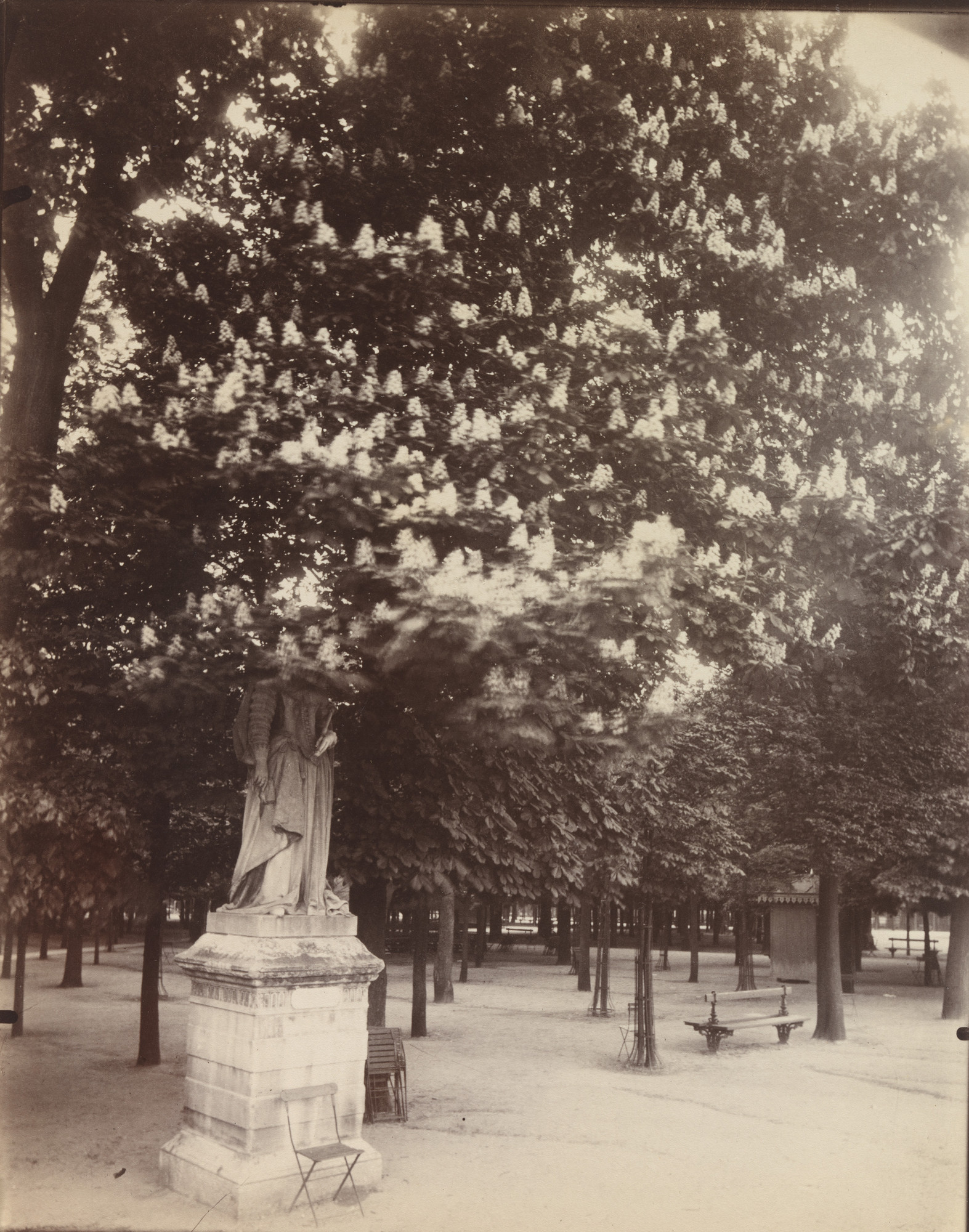 Eugène Atget. Luxembourg