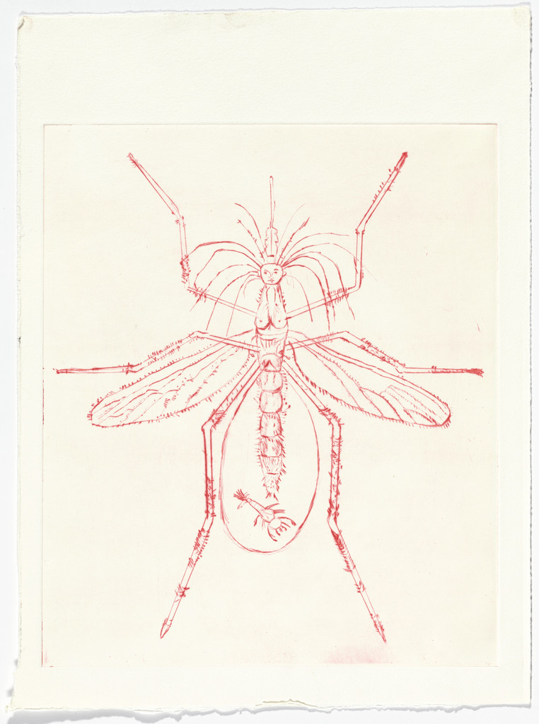 Drawing