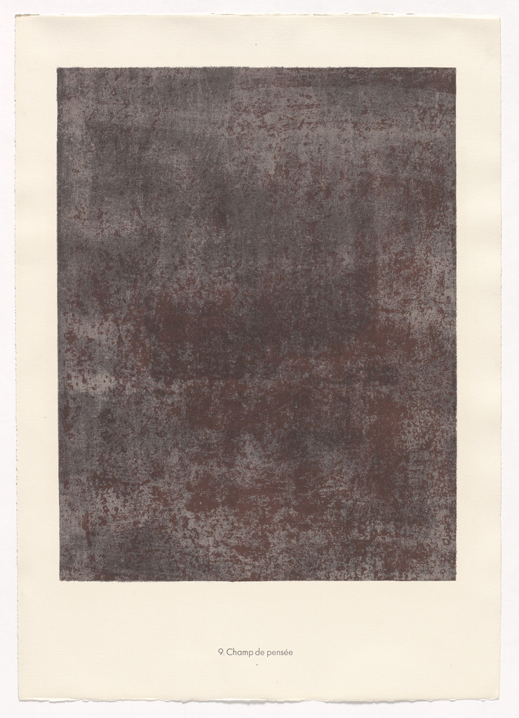 Field of Thought (Champ de pensée) from the portfolio The Land Surveyor (L'Arpenteur) from Phenomena (Les Phénomènes)