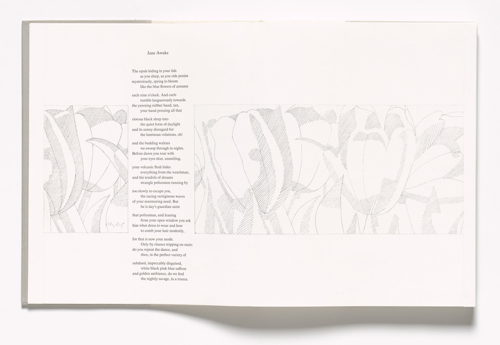 In-text plate (folios 9 verso and 10 recto) from In Memory of My Feelings