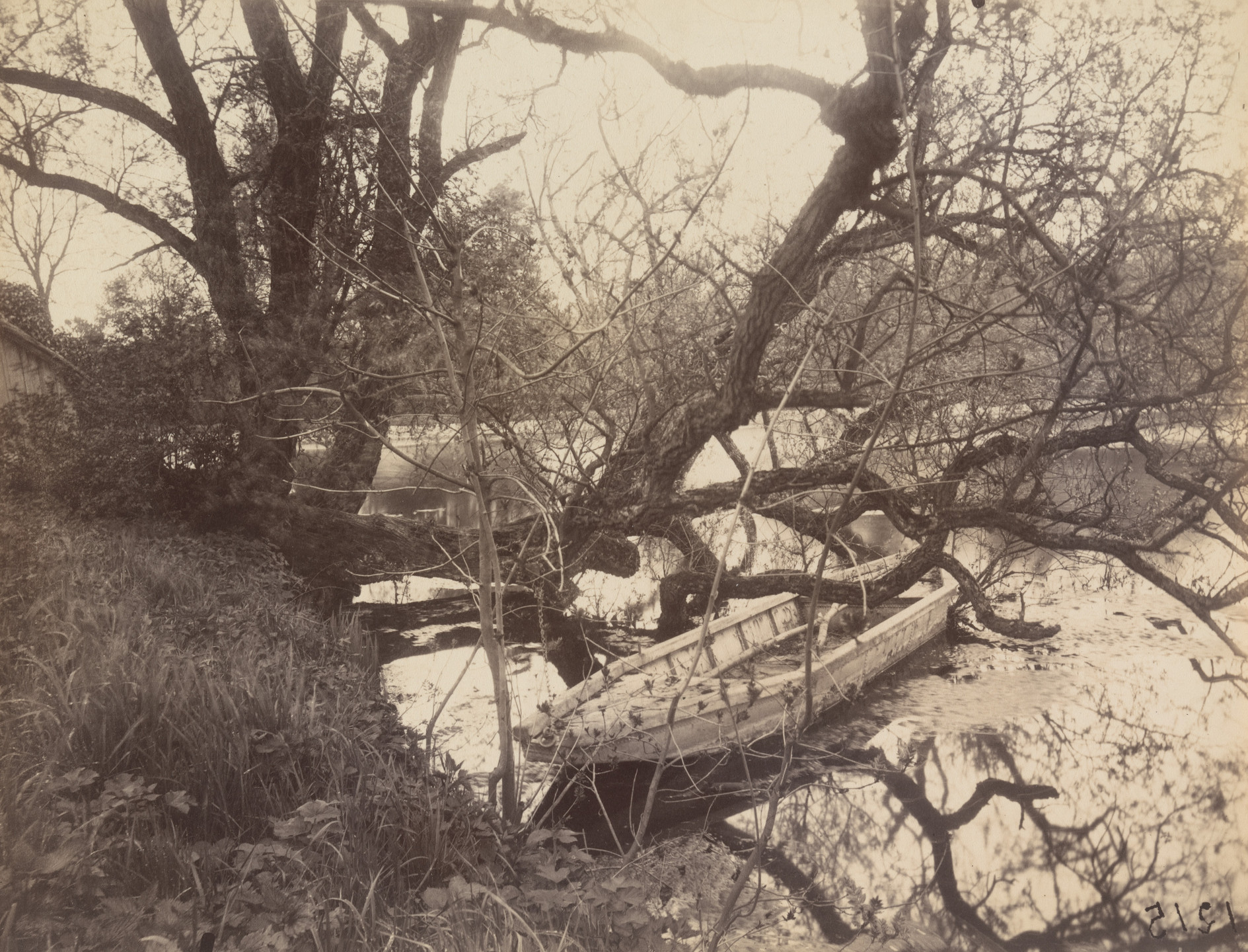 Eugène Atget. Etang, Ville-d&#39;Avray. 1923-25