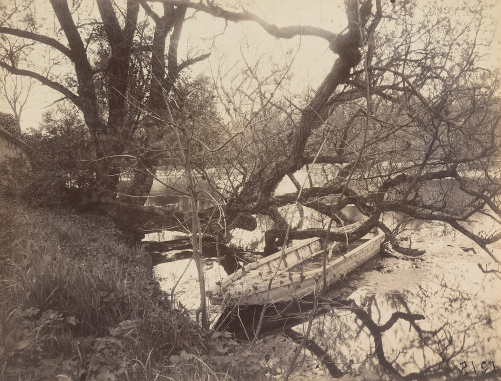 Etang, Ville-d'Avray