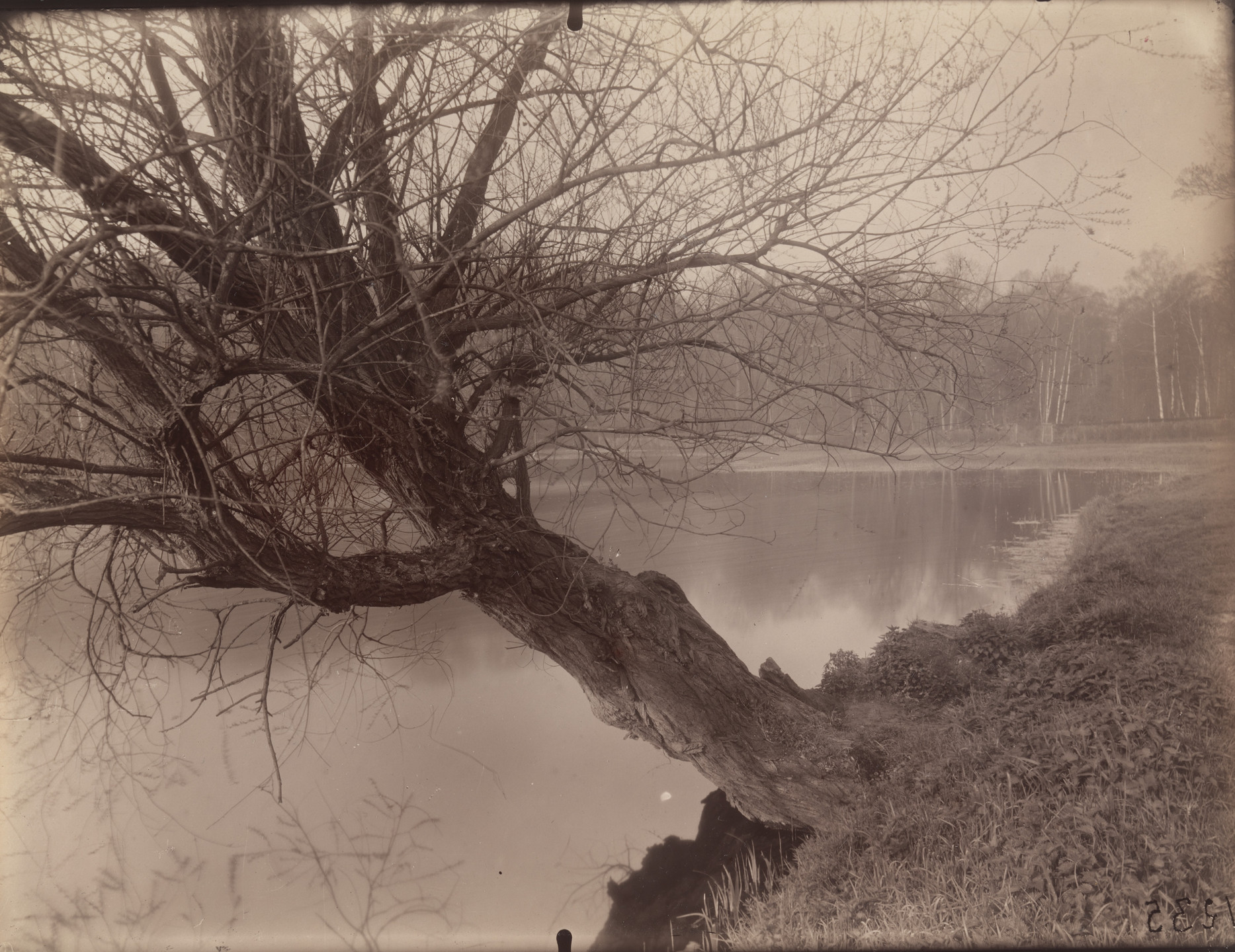 Eugène Atget. Ville d&#39;avray. Étang de Corot. 1925