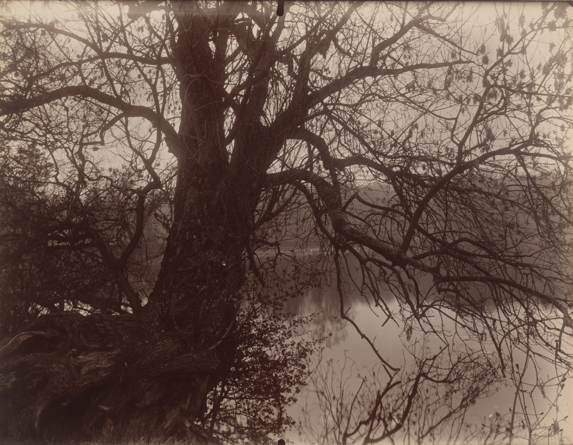 Eugène Atget. Ville d&#39;avray. Étang. 1925