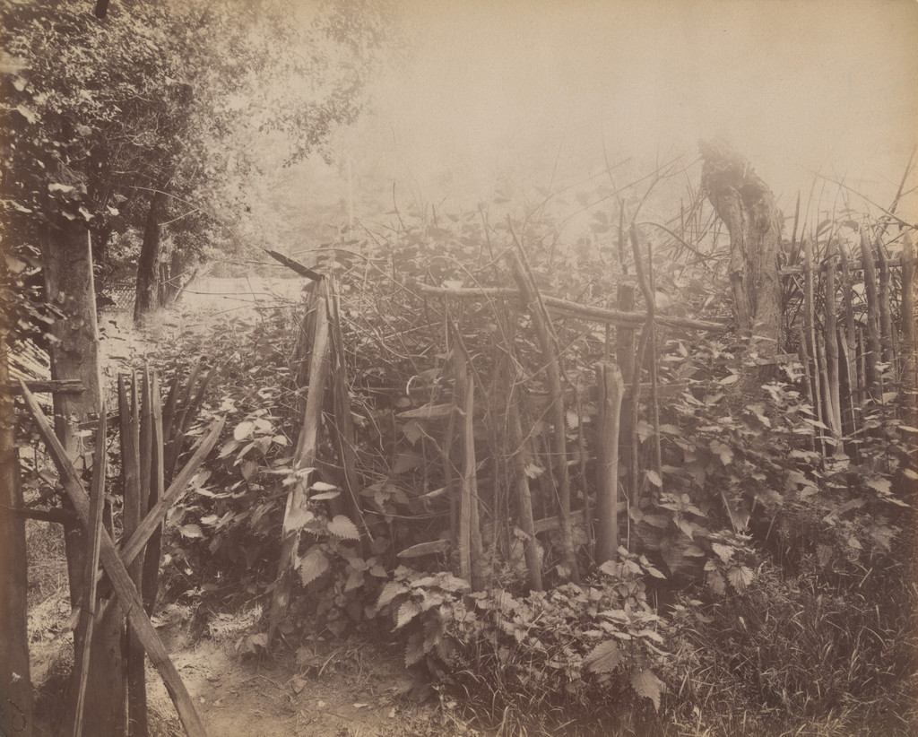 Ville d'avray. Palisade