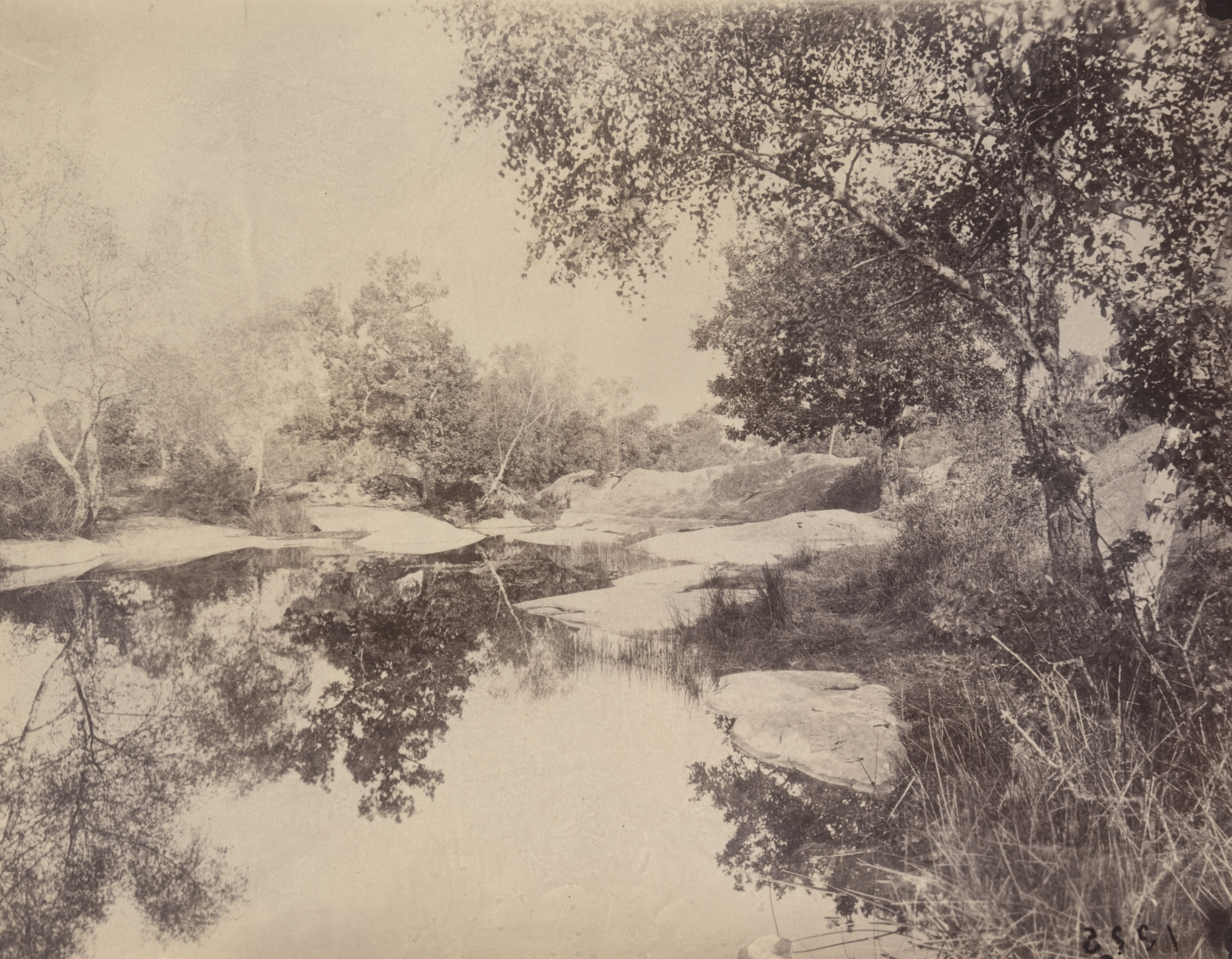 Eugène Atget. Fontainebleau