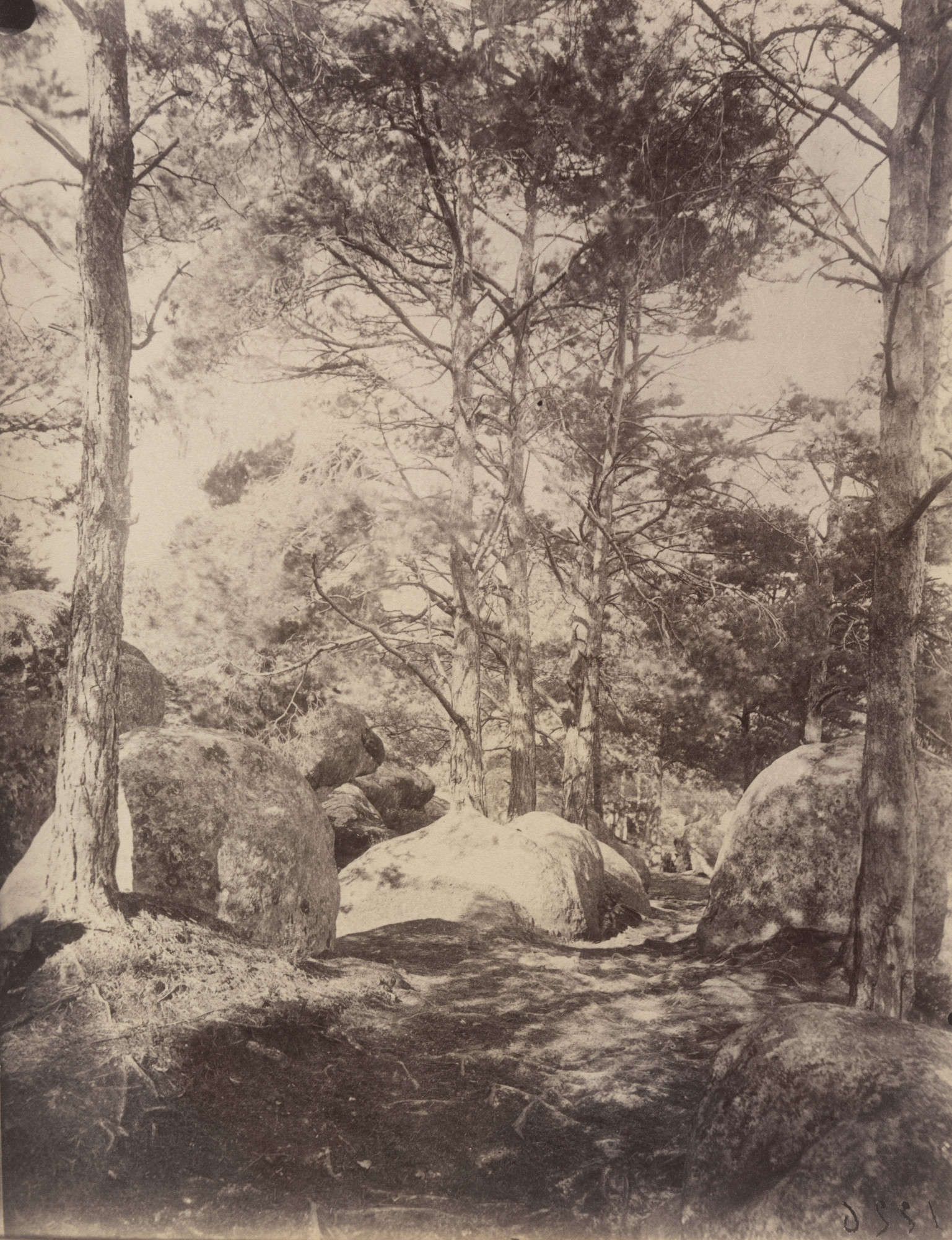 Eugène Atget. Fontainebleau -- Cavalière des Brigands