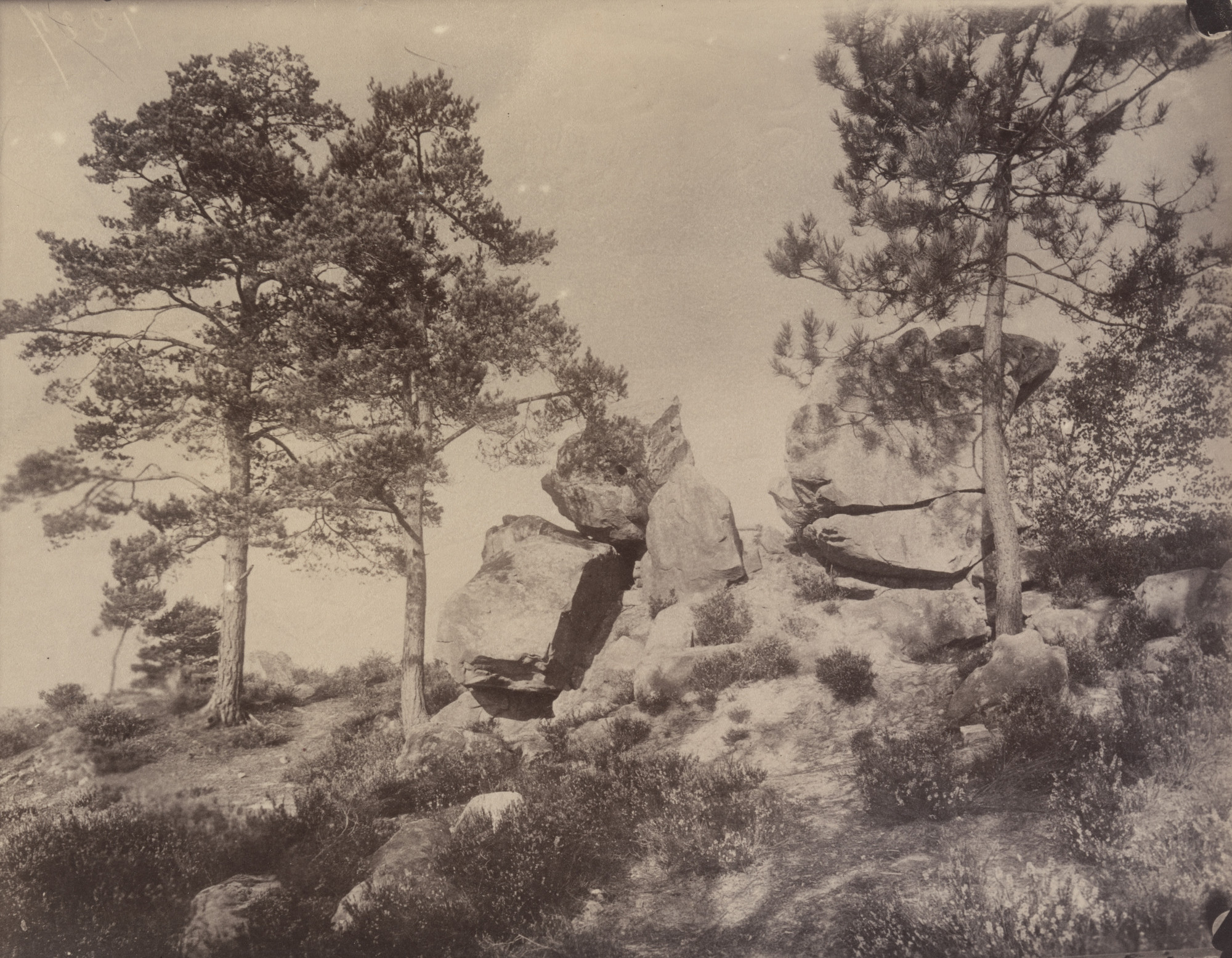 Eugène Atget. Fontainebleau, rochers