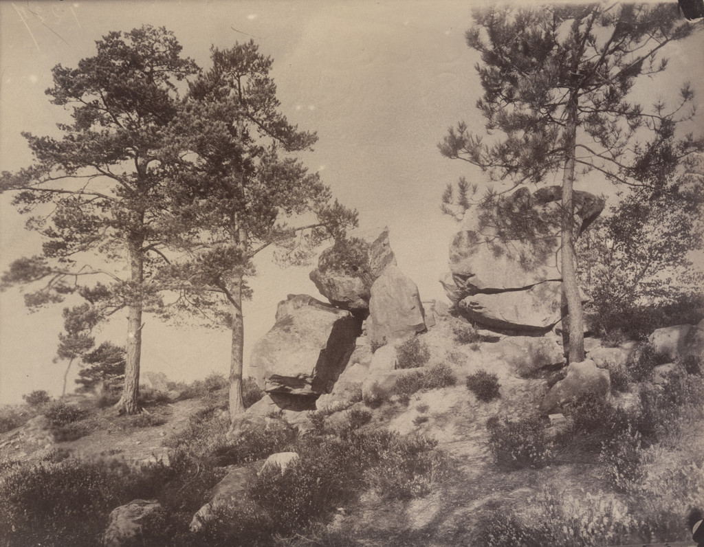 Fontainebleau, rochers