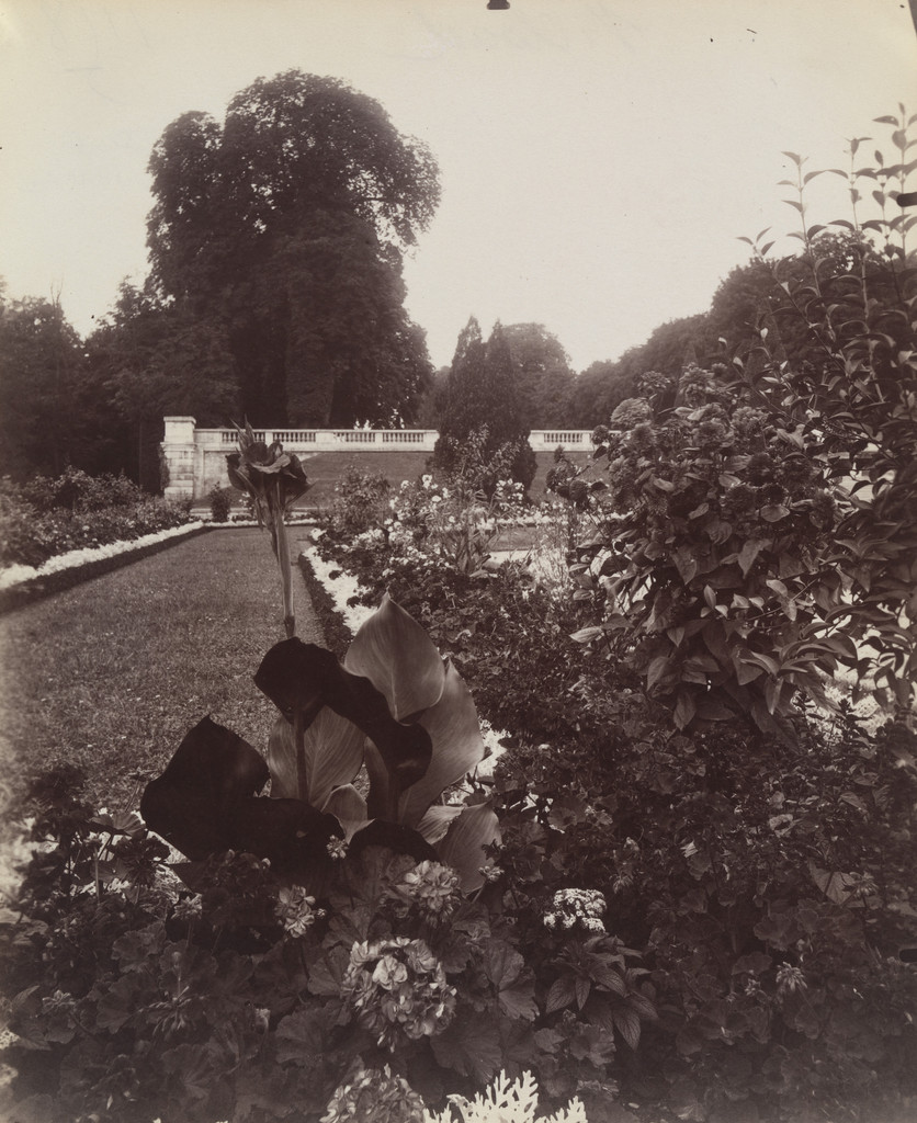 Saint-Cloud