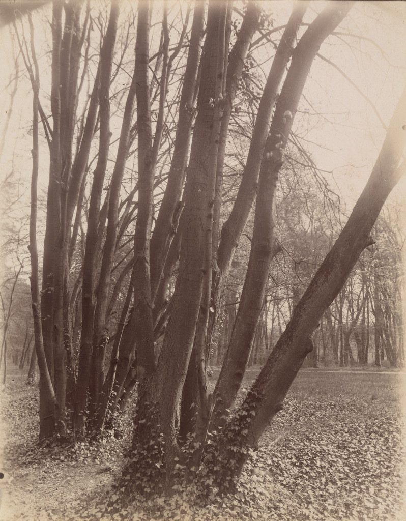 Saint-Cloud