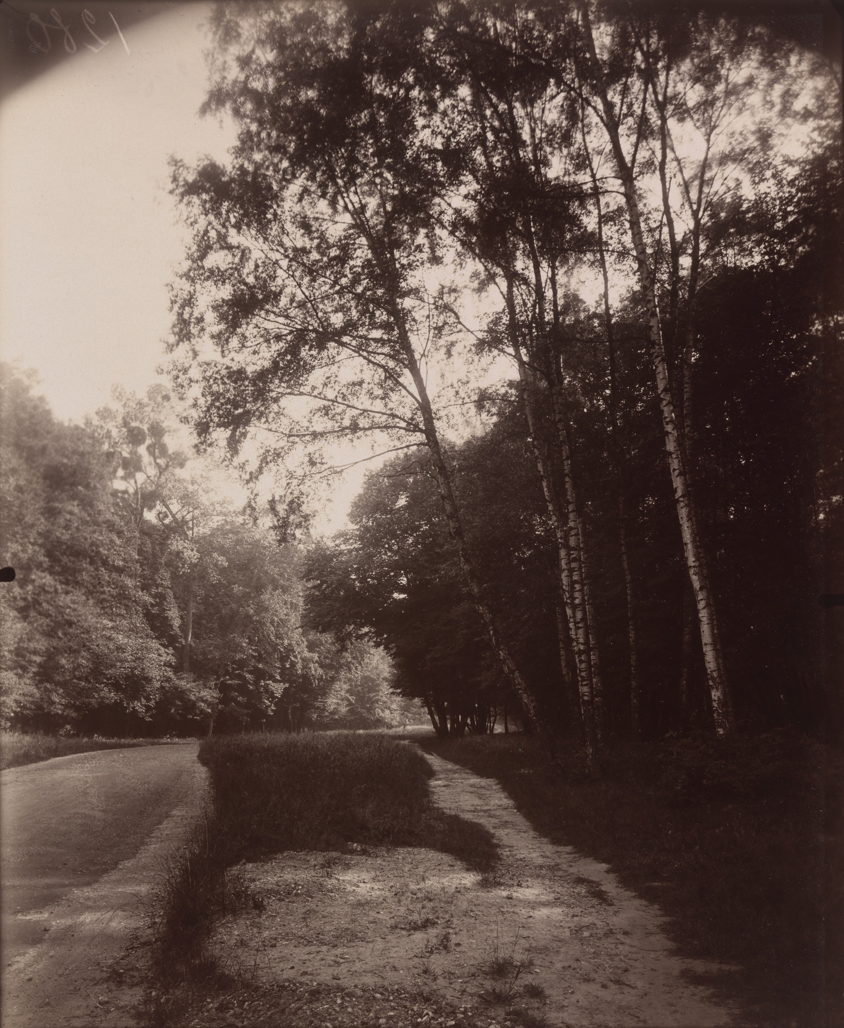Eugène Atget. Saint-Cloud