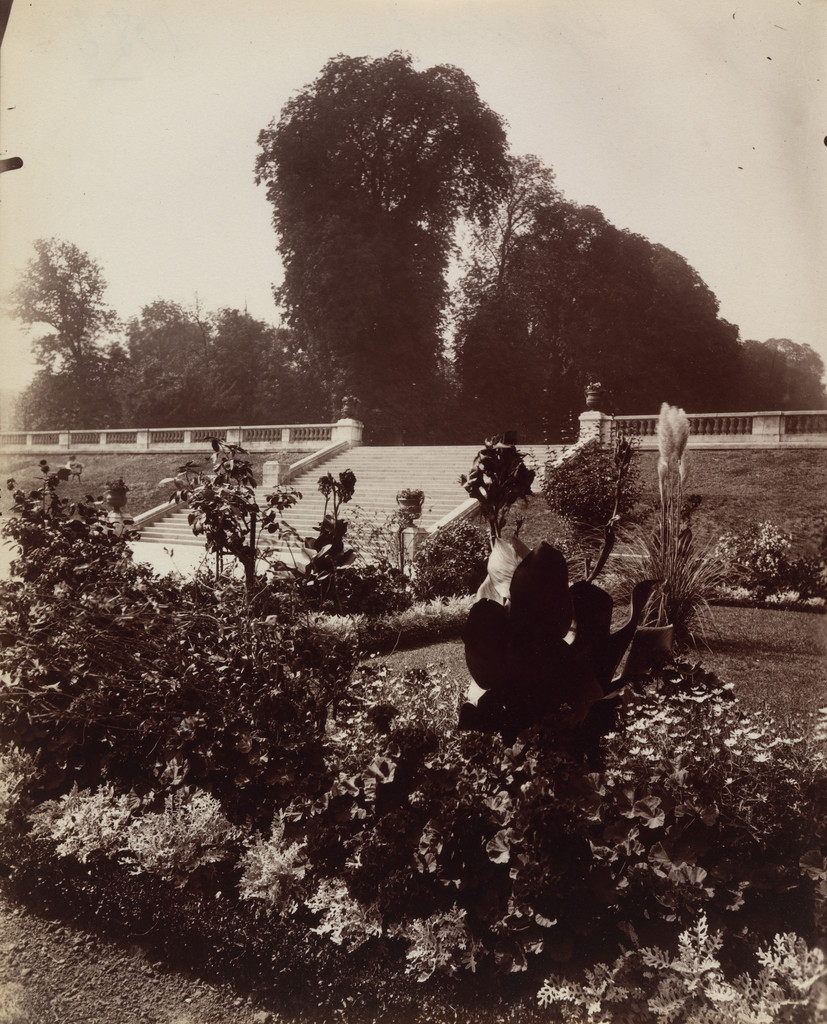 Saint-Cloud, Eugène Atget, 1921–22, Albumen silver print
