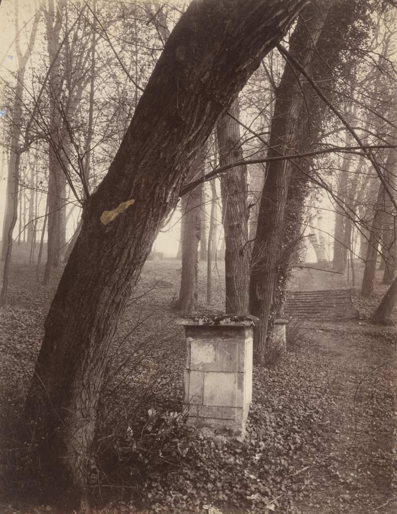 Saint-Cloud