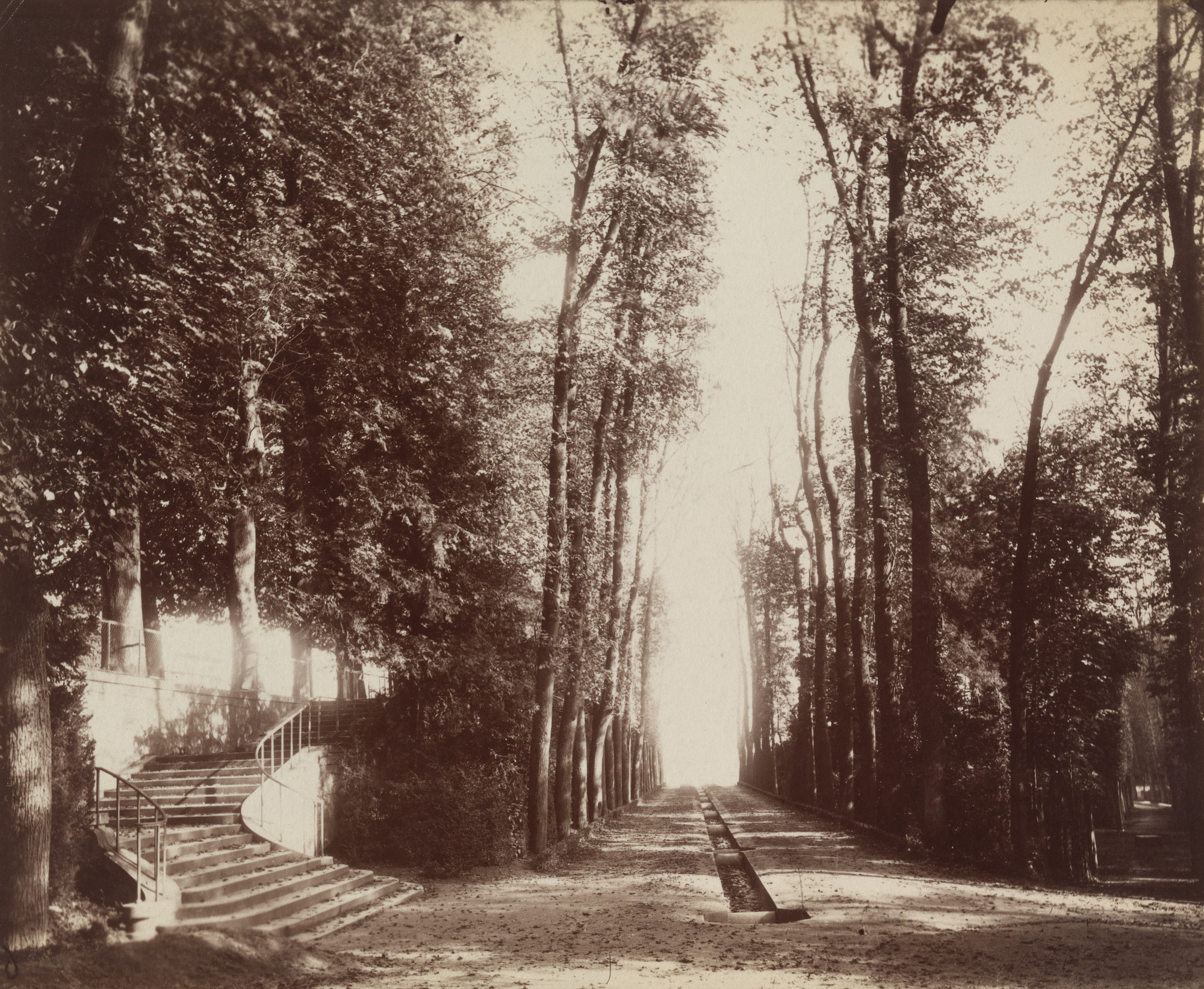 Eugène Atget. Parc de Saint-Cloud