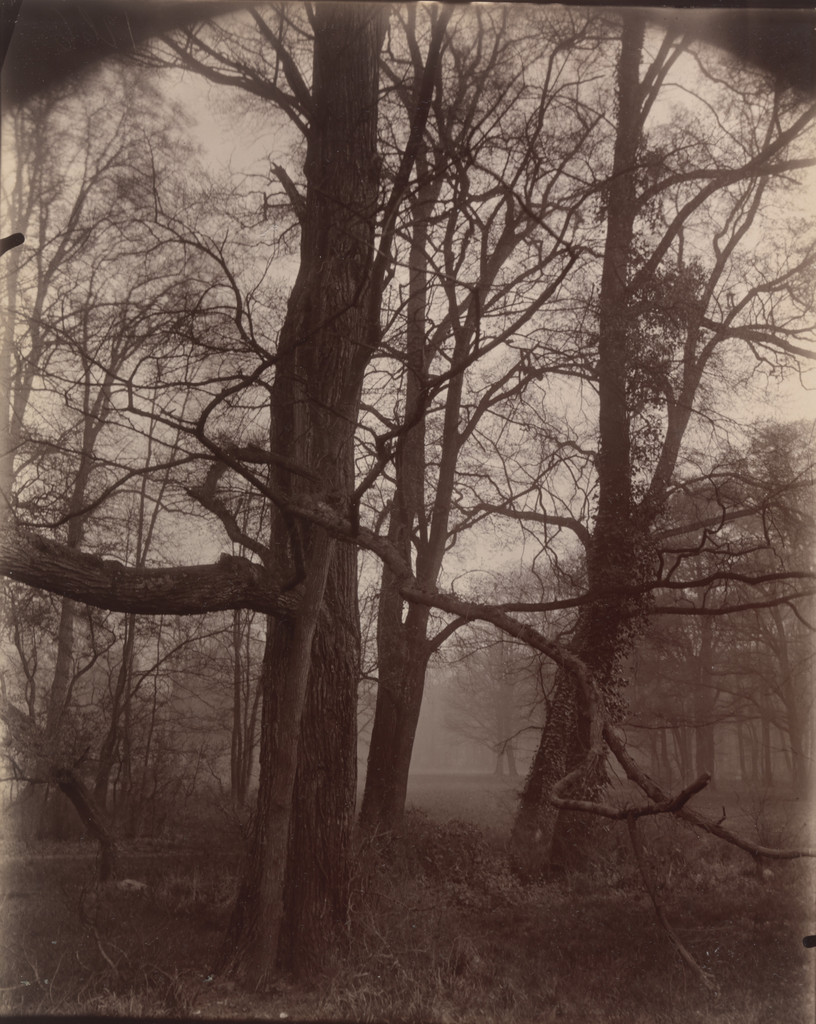 Saint-Cloud