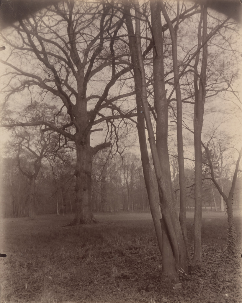 Saint-Cloud