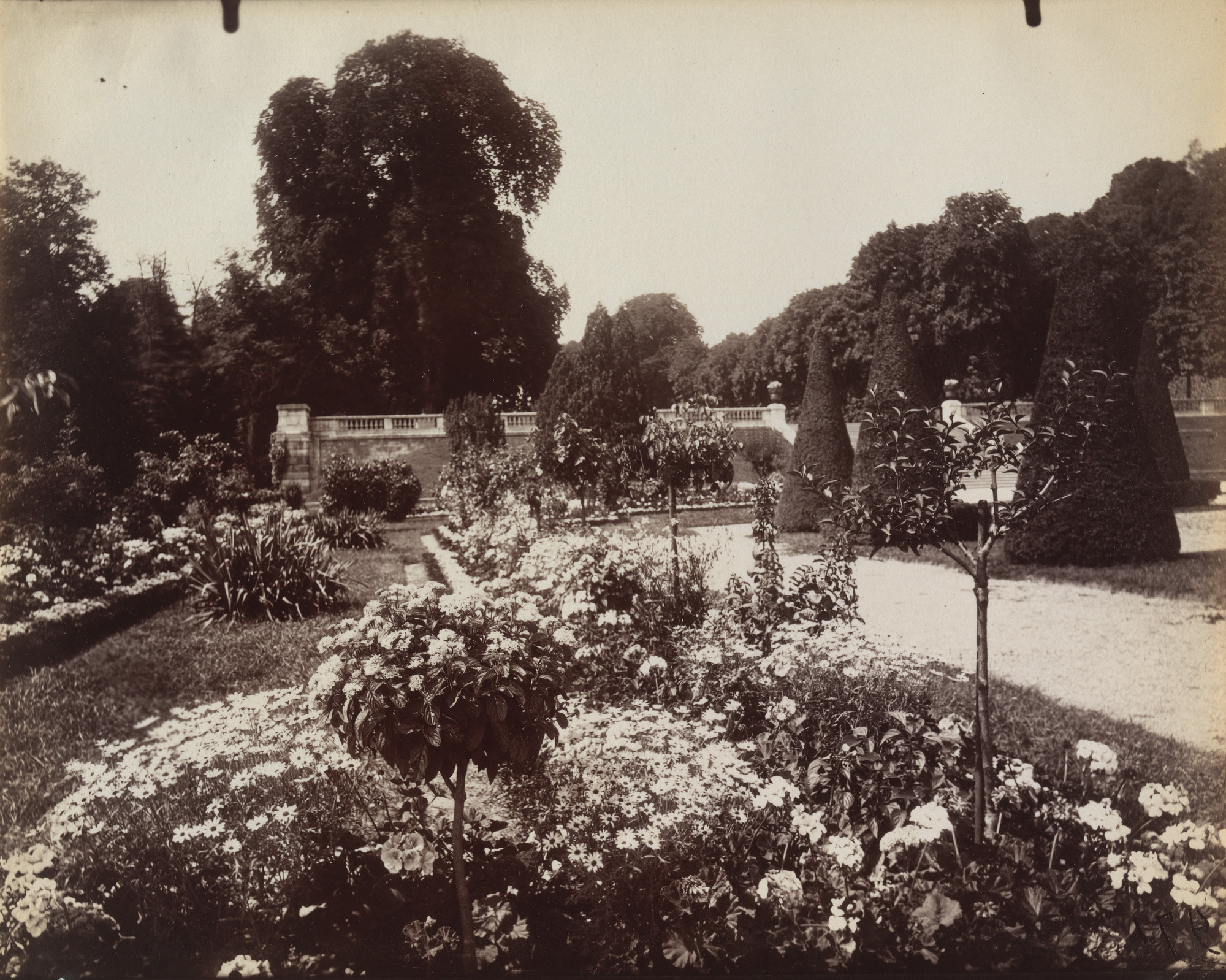 Eugène Atget. Saint-Cloud
