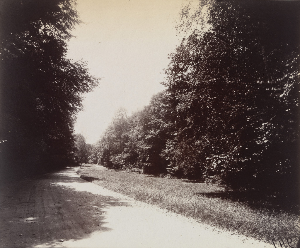 Parc de Saint-Cloud