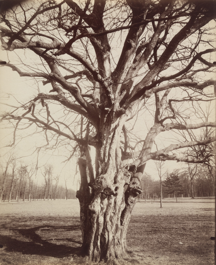Parc de Saint-Cloud