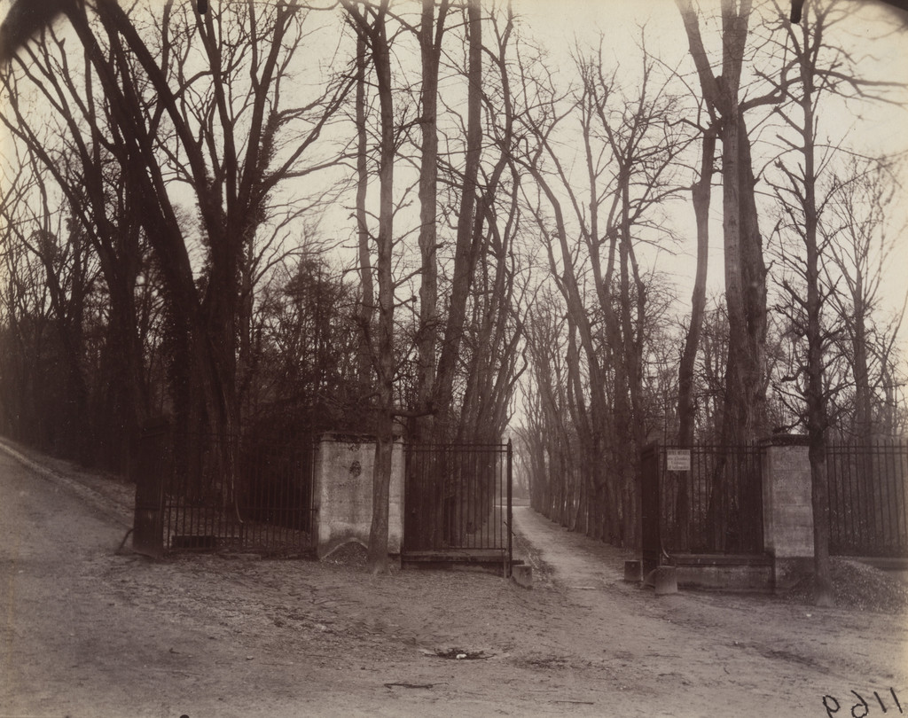 Saint-Cloud, Eugène Atget, 1923, Albumen silver print