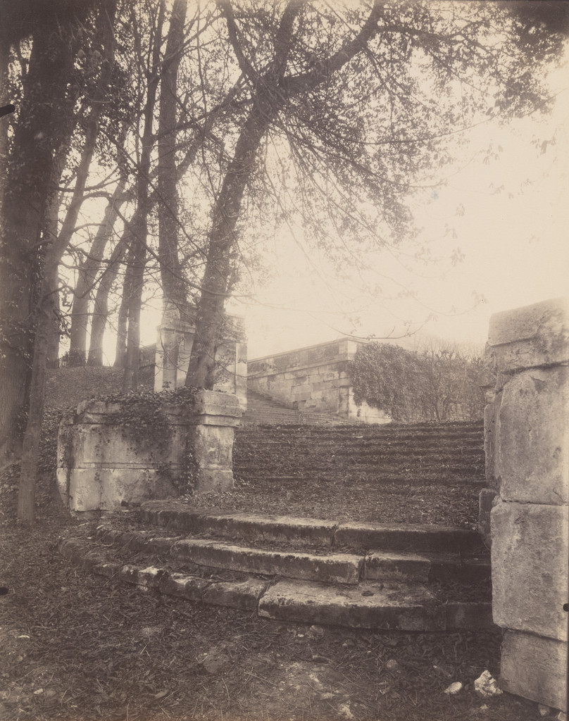 Saint-Cloud, Eugène Atget, 1924, Matte albumen silver print