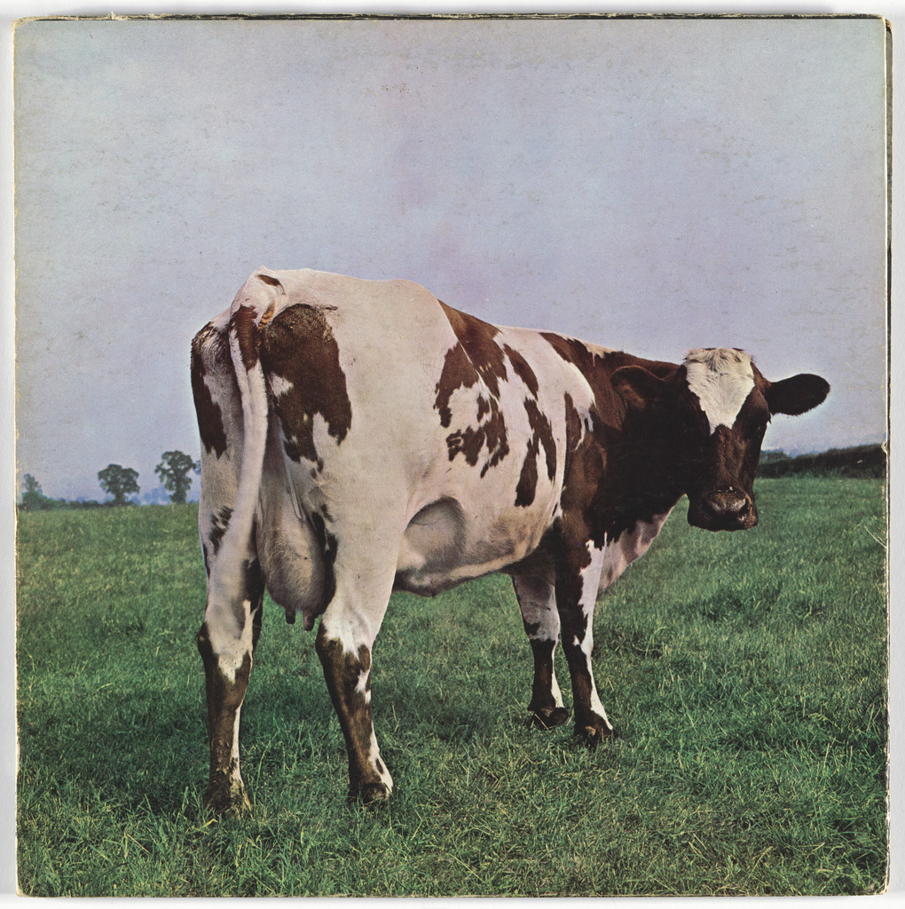 Album cover for Pink Floyd, Atom Heart Mother