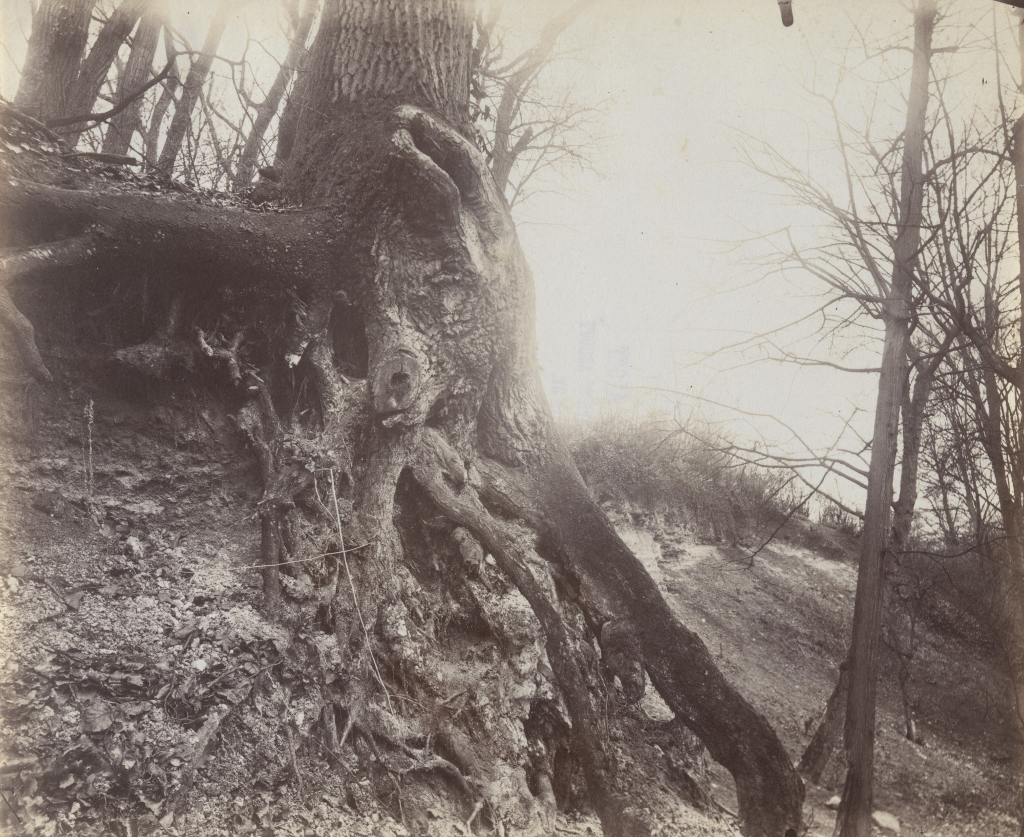 Eugène Atget. Saint-Cloud