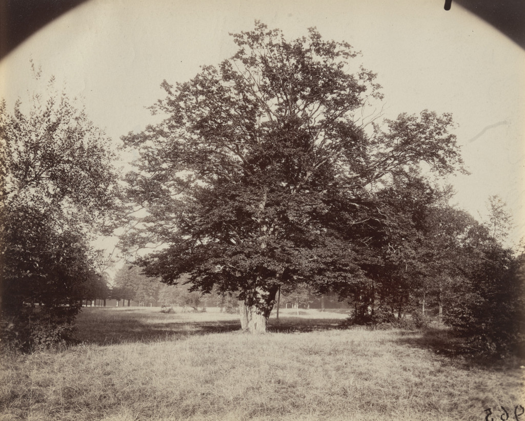 Parc de Saint-Cloud