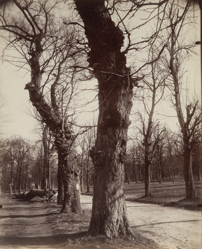 Saint-Cloud
