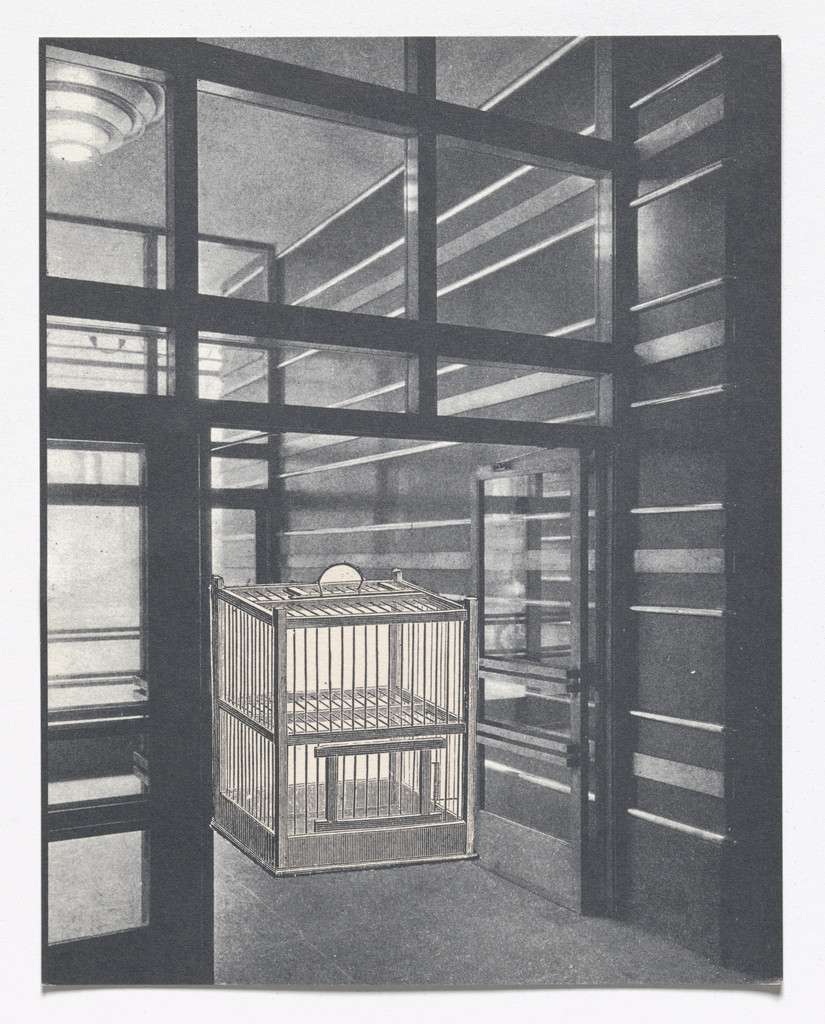 Ten Collages from S.M.S. No. 2