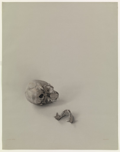 The Skull