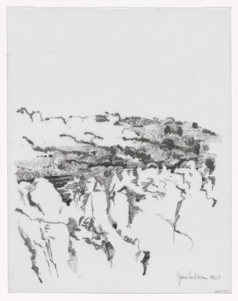 Unused preparatory drawing for In Memory of My Feelings