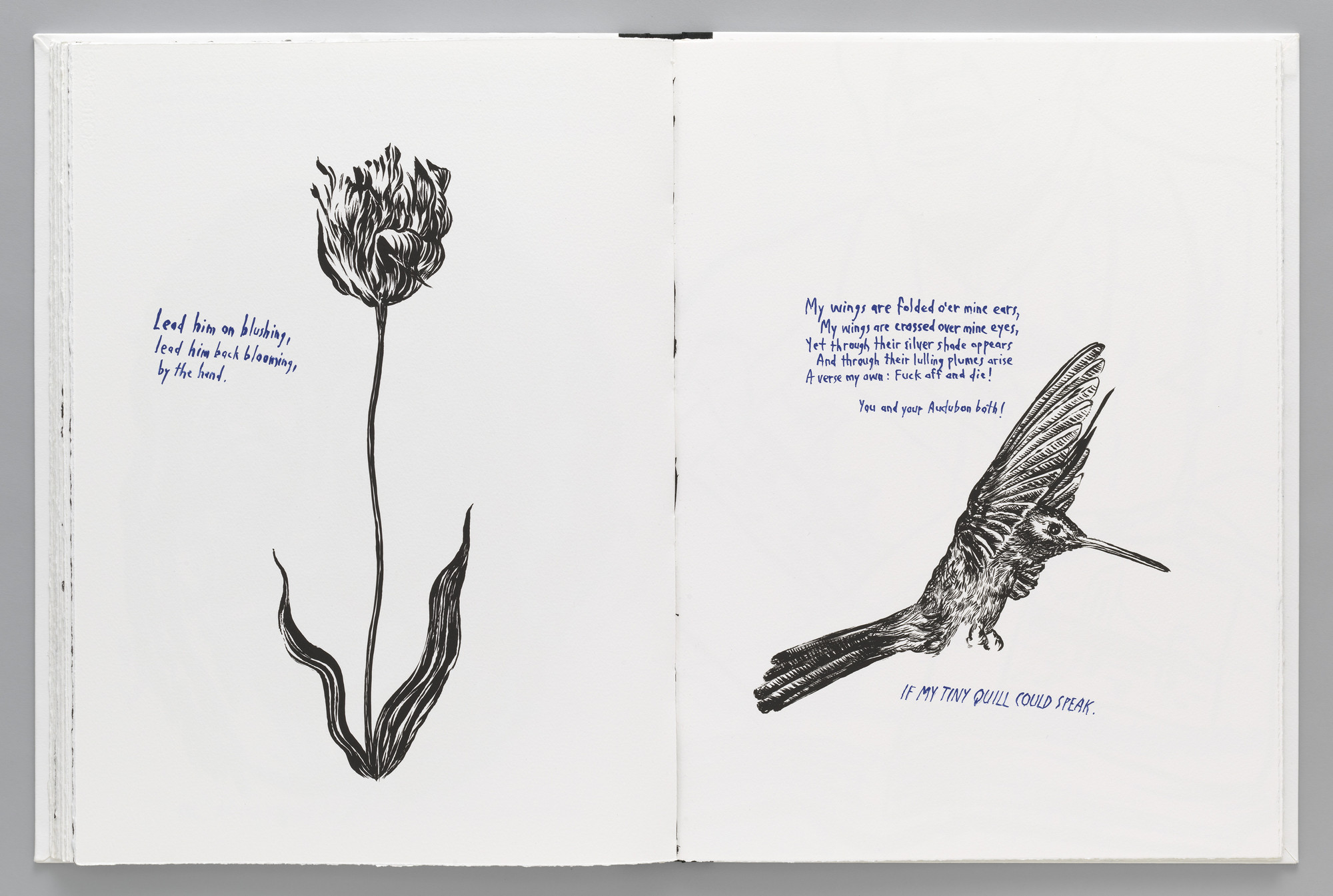 Raymond Pettibon. Plots on Loan. 2000