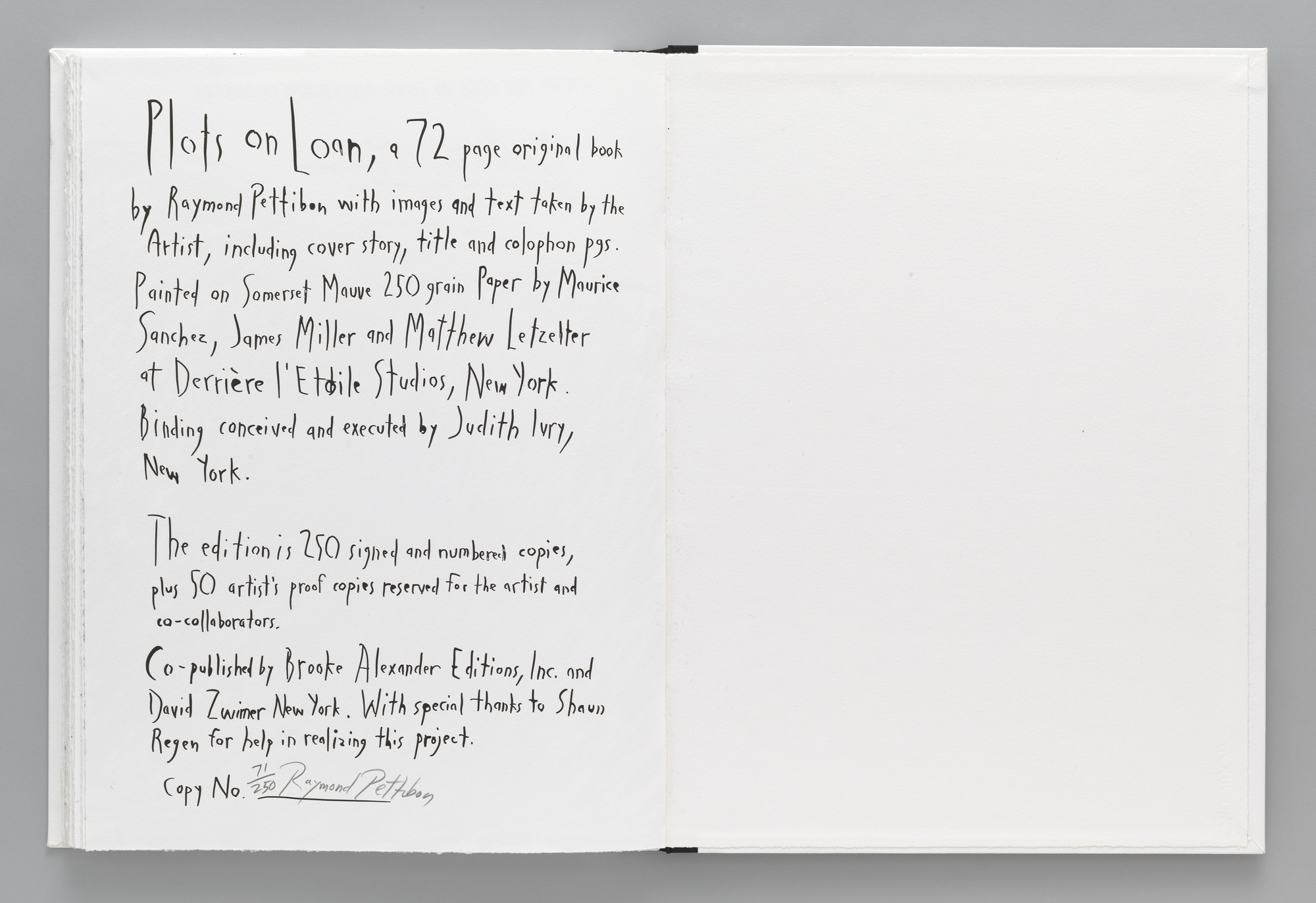 Raymond Pettibon. Plots on Loan. 2000