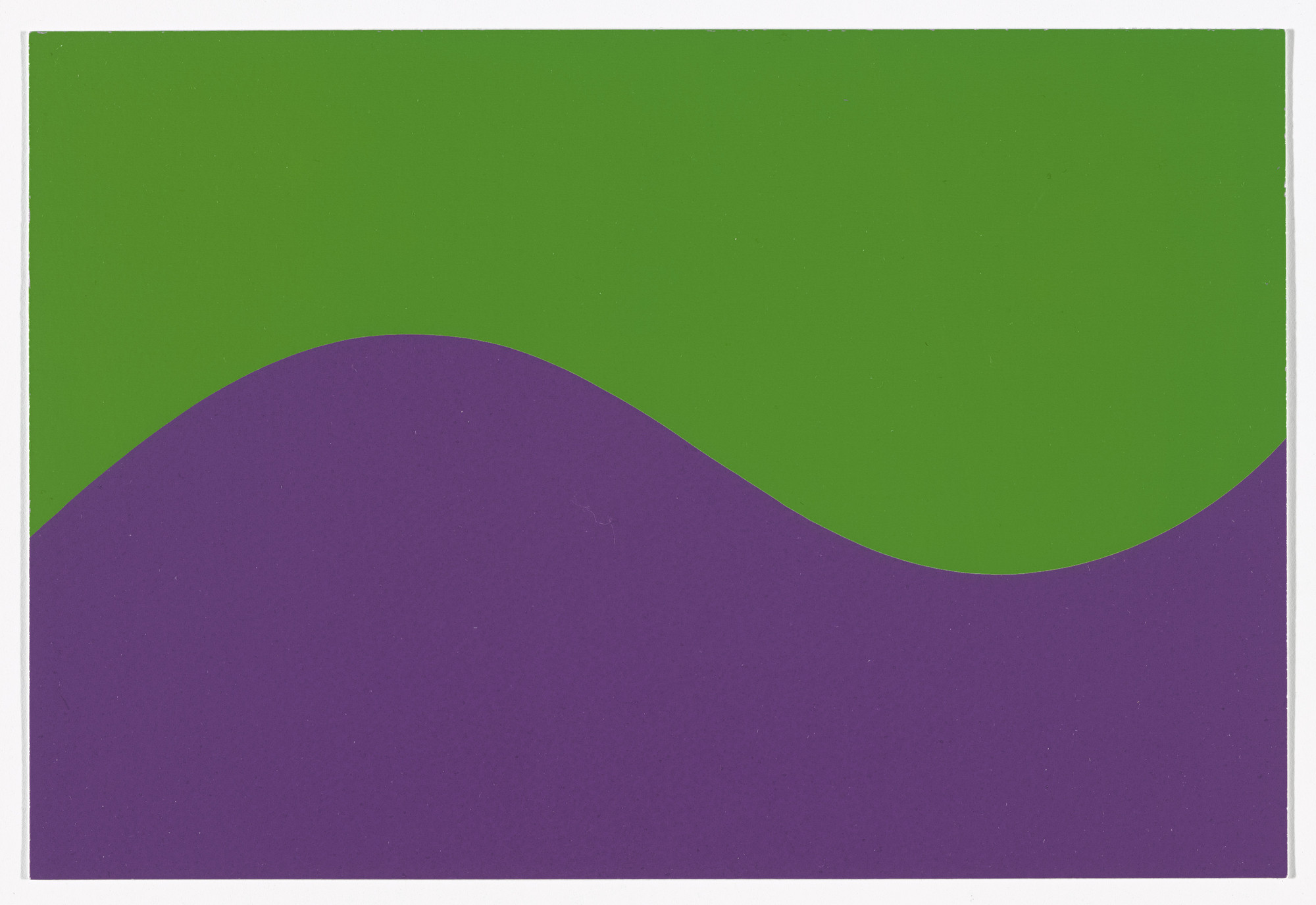 Sol LeWitt. Purple, Green Curve