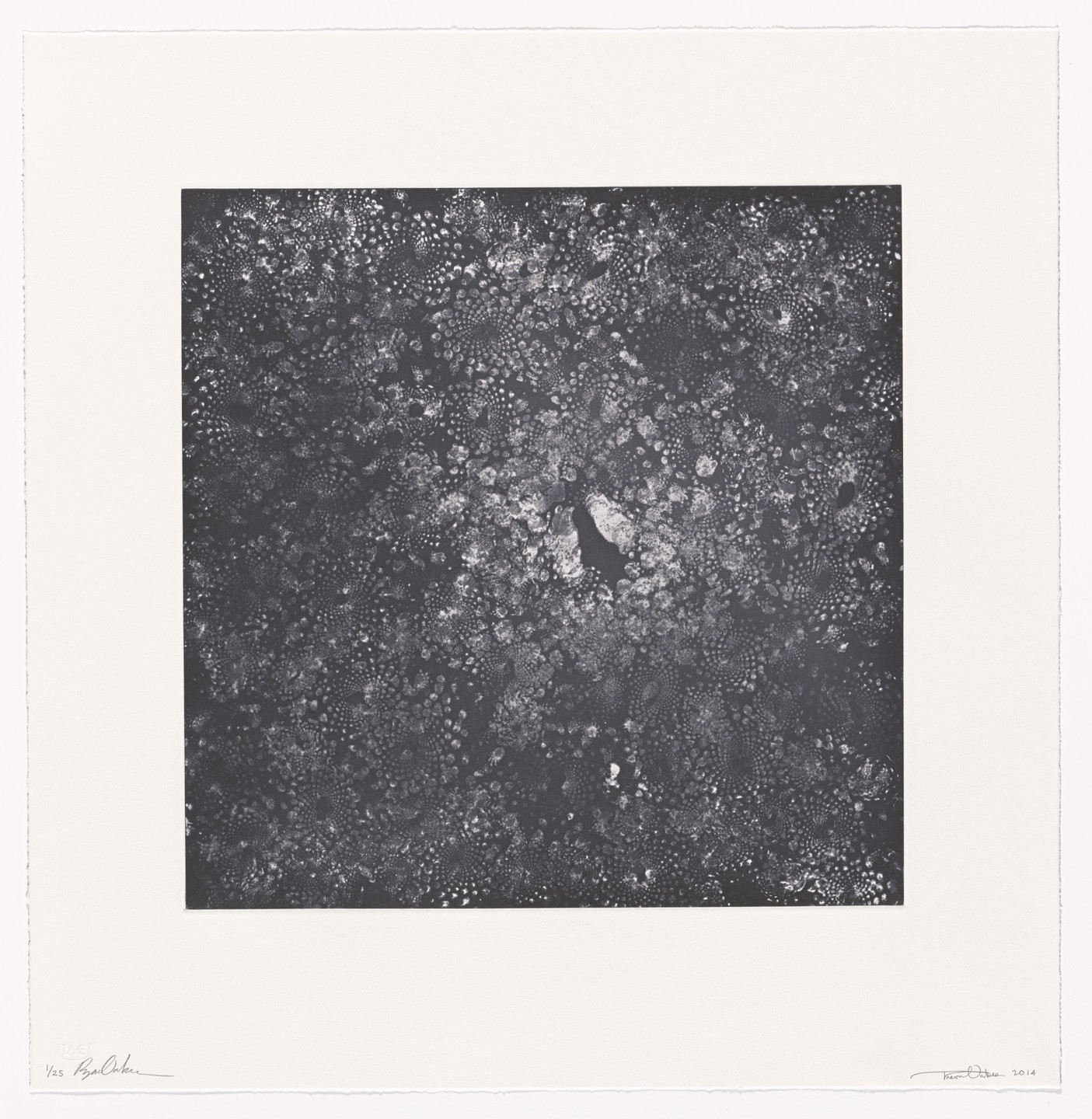 Ryan Oakes, Trevor Oakes. Cauli-Cosmos. 2014