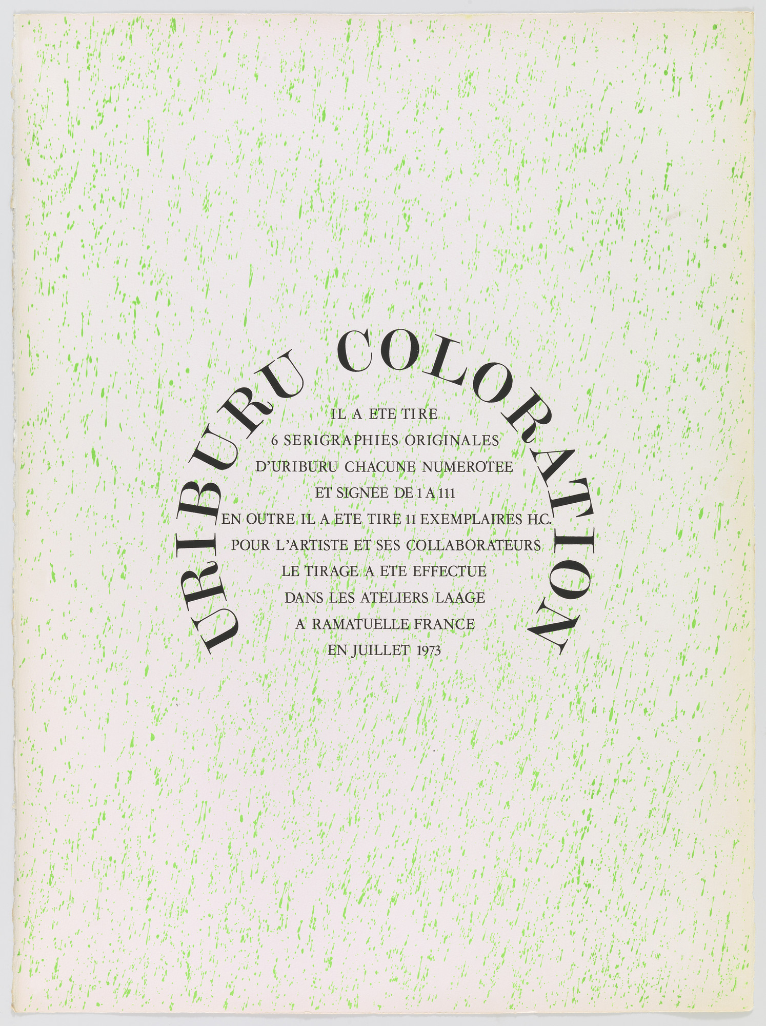 Nicolas Garcia Uriburu. Portfolio (Manifesto)