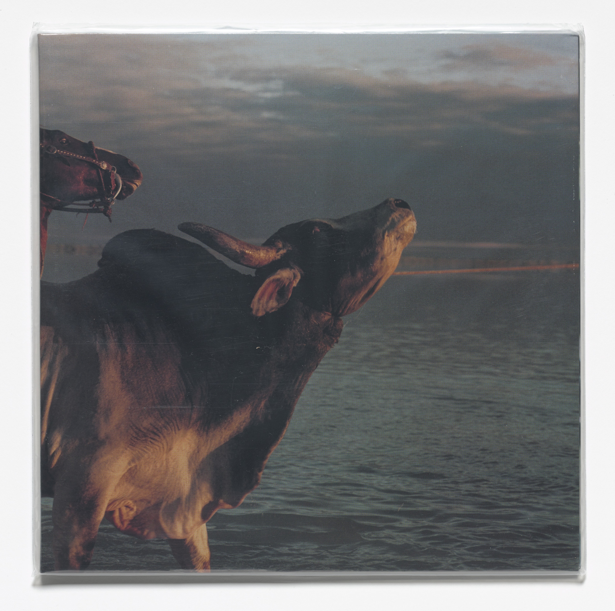 Matthew Barney. The Man in Black/Drone Harness