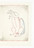 Louise Bourgeois. Male and Female. 2001