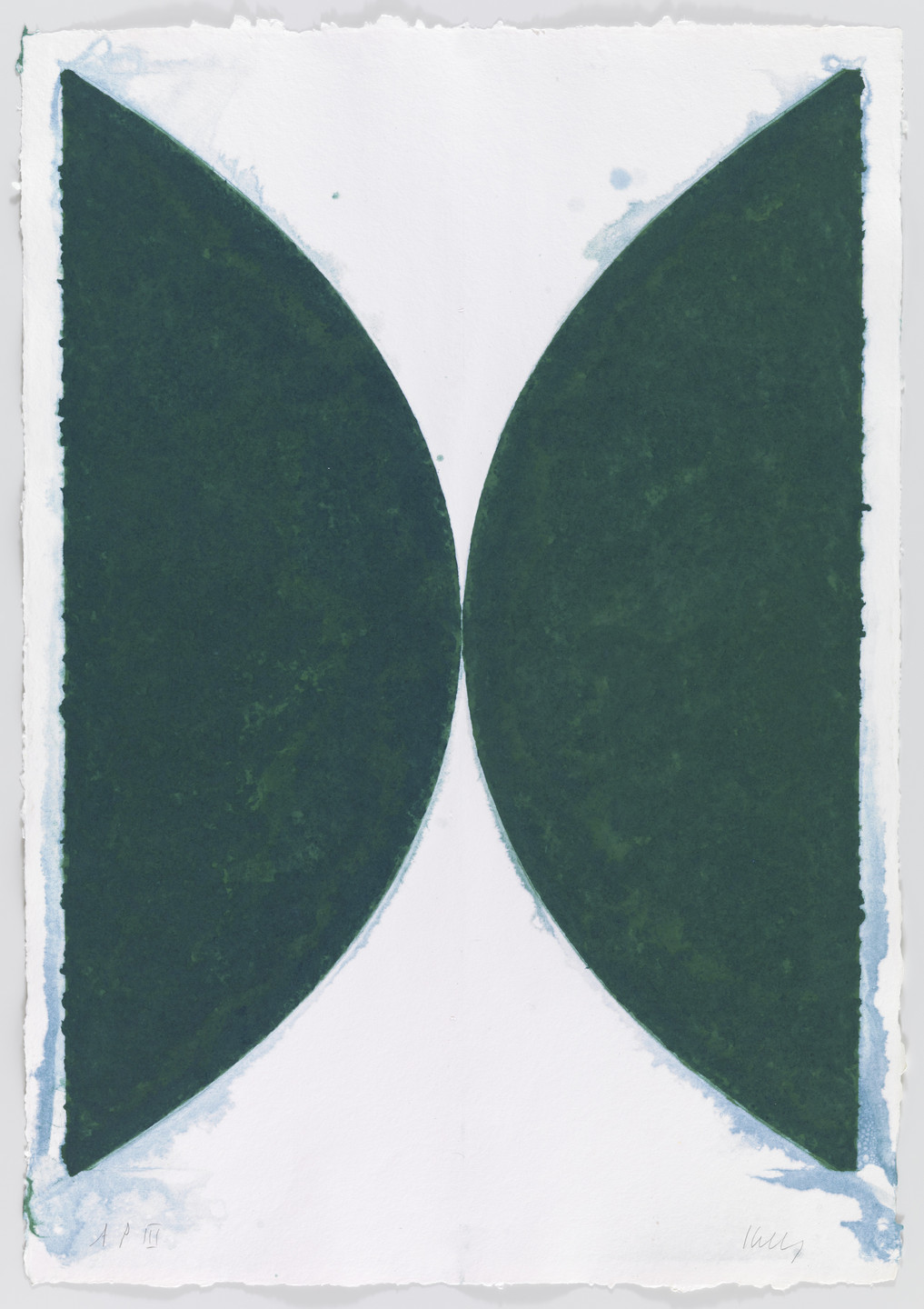 Ellsworth Kelly. Colored Paper Image II (Dark Green Curves). 1976