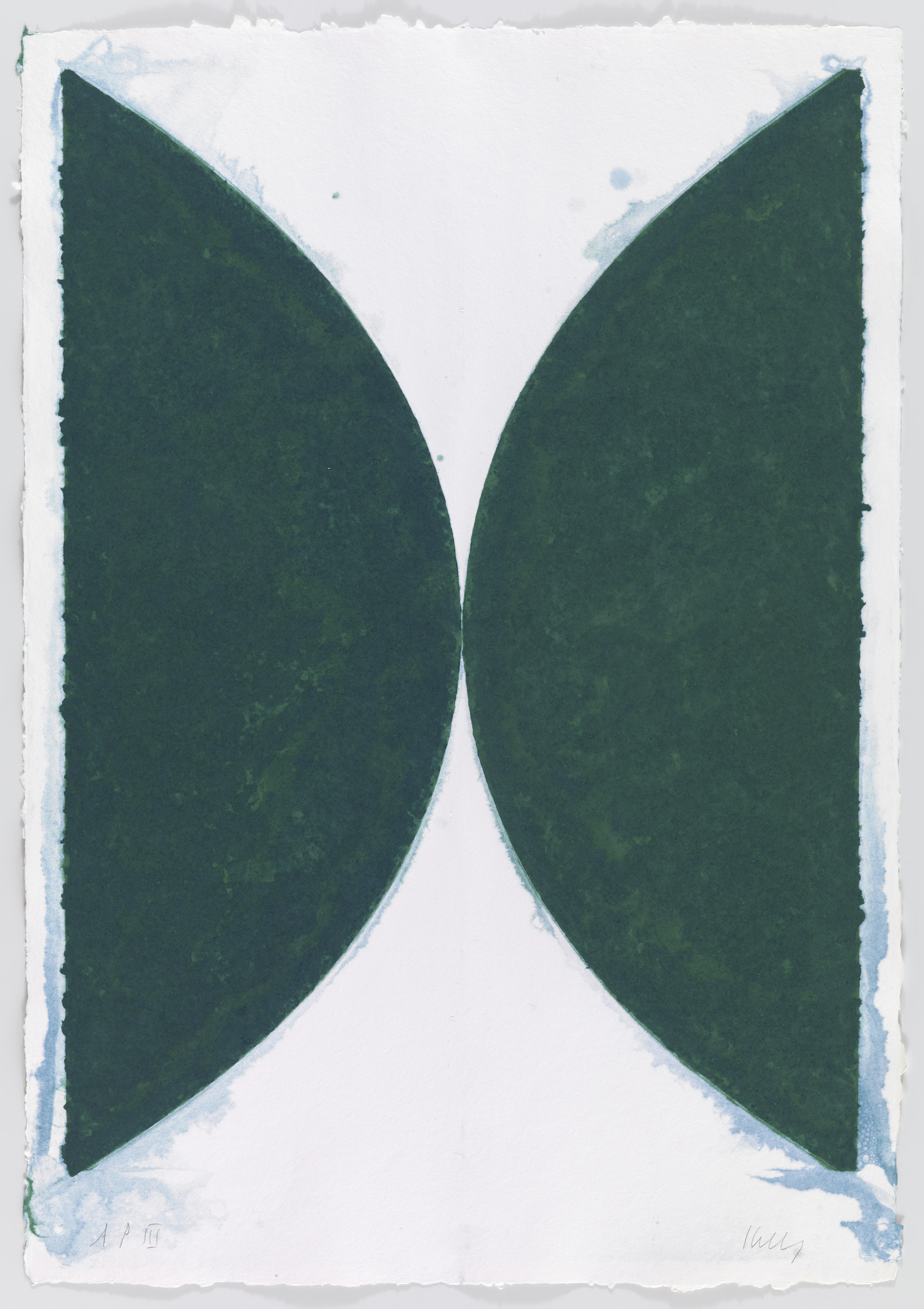 Ellsworth Kelly. Colored Paper Image II (Dark Green Curves)