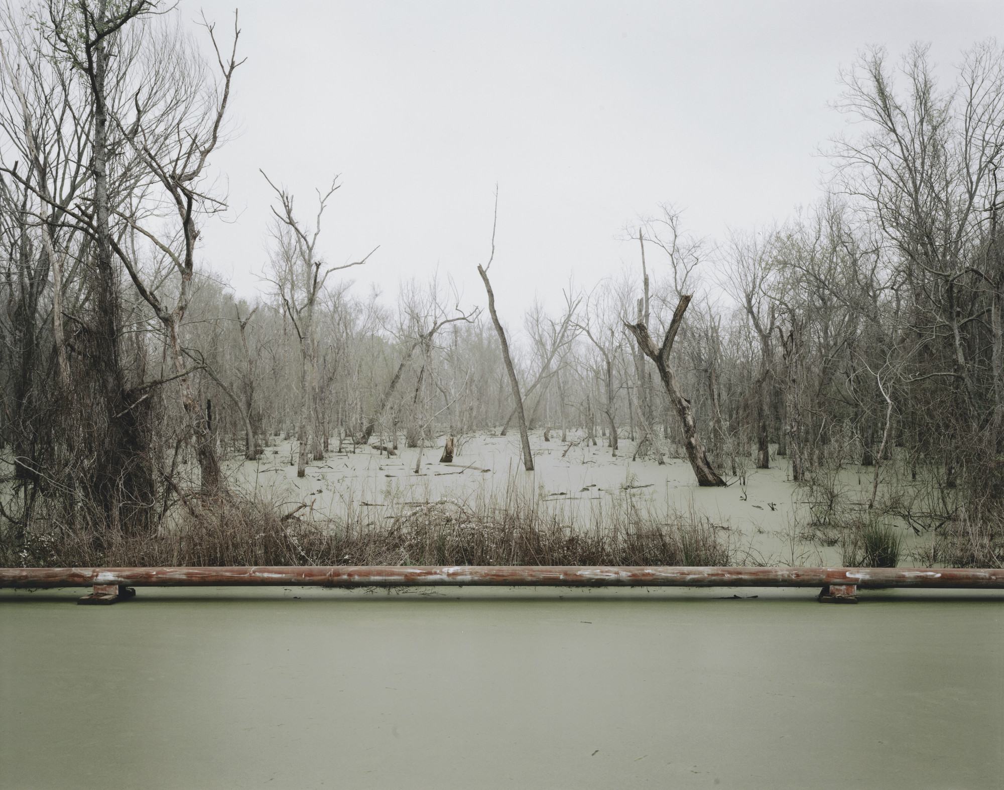 Richard Misrach. Swamp and Pipeline, Geismar, Louisiana