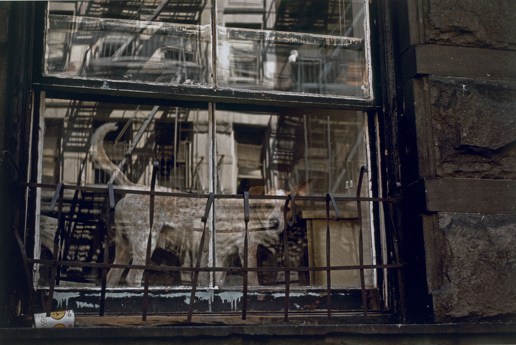 Helen Levitt. New York