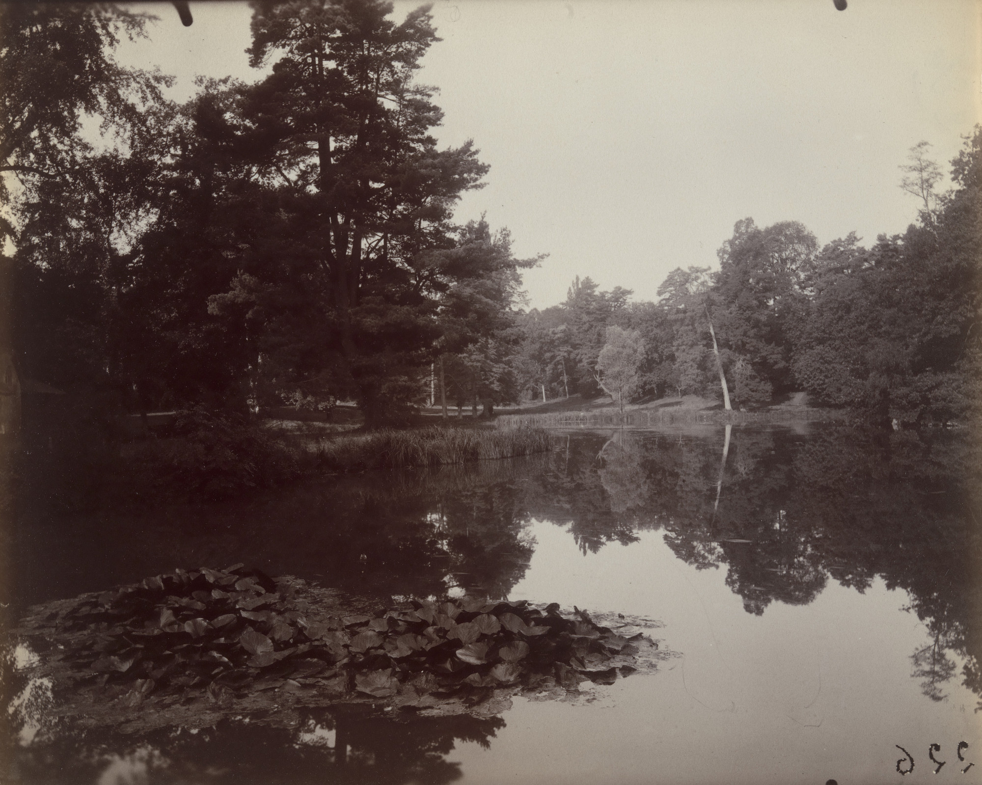 Eugène Atget. Trianon -- Étang