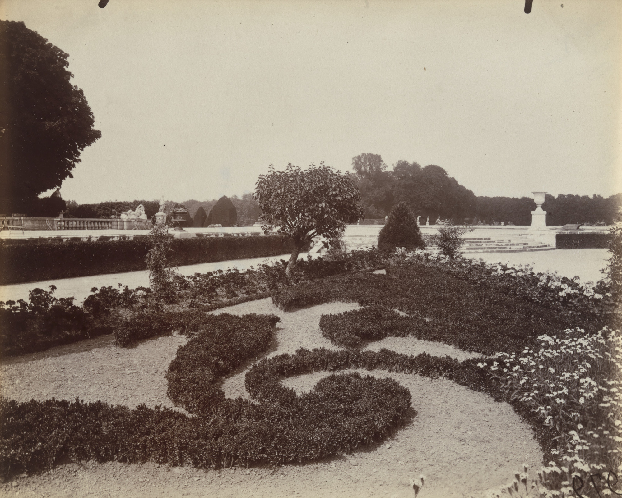 Eugène Atget. Versailles -- Jardin