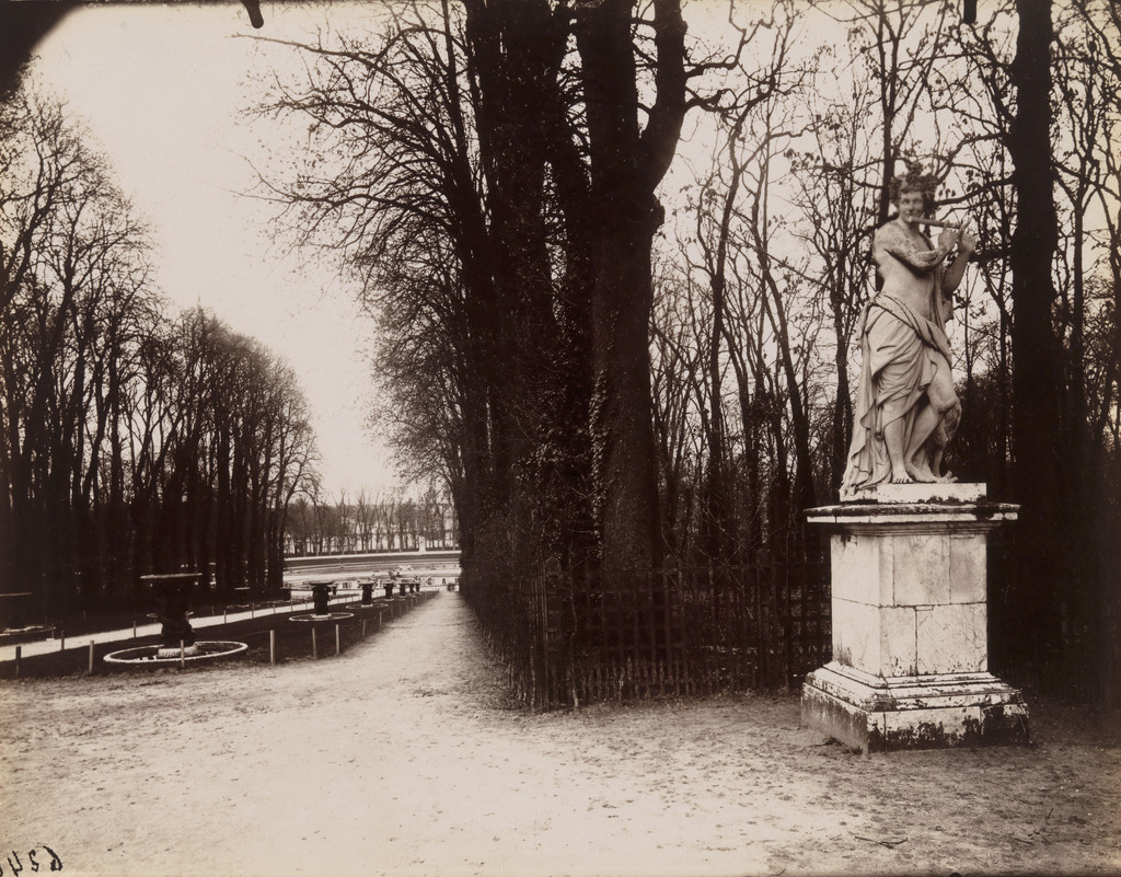Versailles, Coin de Parc, Eugène Atget, 1902, Gelatin silver printing-out-paper print