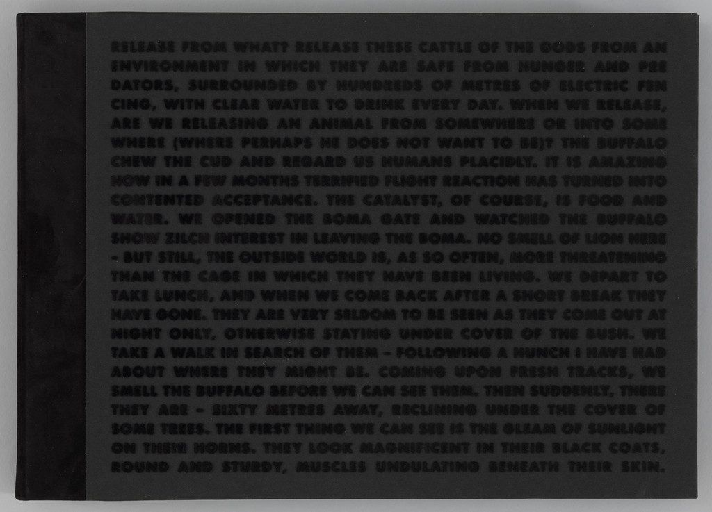 Africa Revisited by Irma Boom